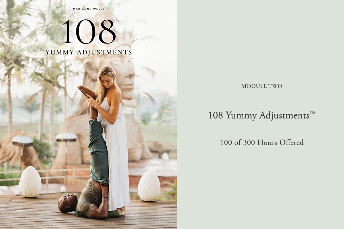 300ytt Training 108 Yummy Adjustments