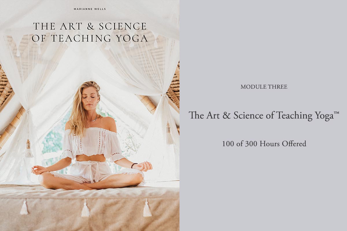 300ytt Training The Art & Science of Teaching Yoga