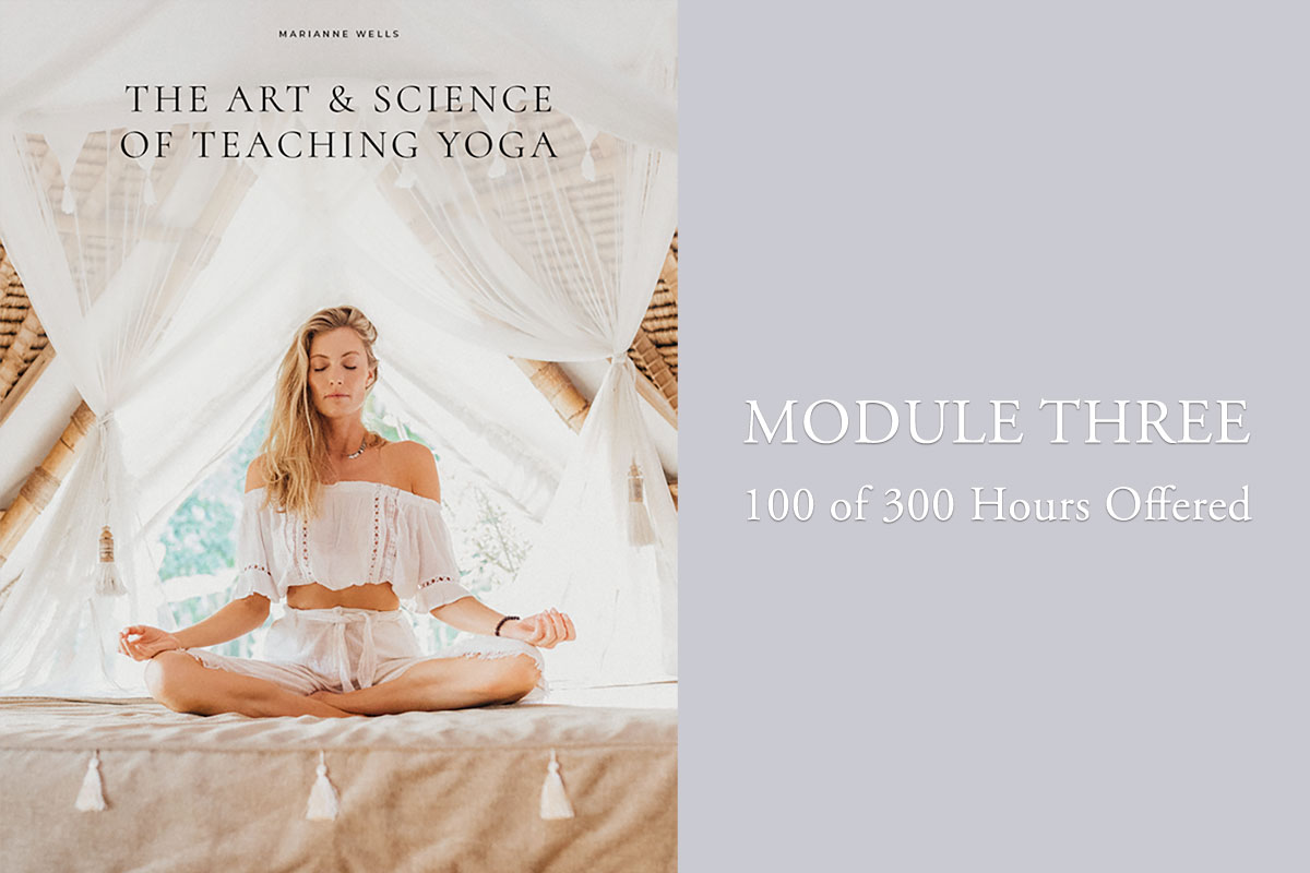 The Art & Science of Teaching Yoga 300YTT