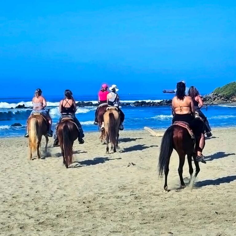 Winter Yoga Retreat Troncones Mexico